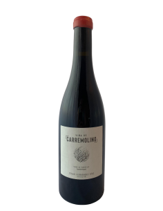 Viña de Carremolino 75 cl.