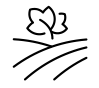 Vi&ntilde;edo